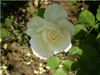 faeaa24a-Picture 2766.jpg